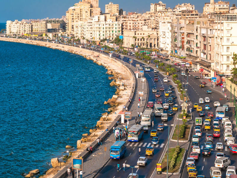 شكاوى المواطنين في الإسكندرية من هجوم أسراب النمل الأبيض المجنح