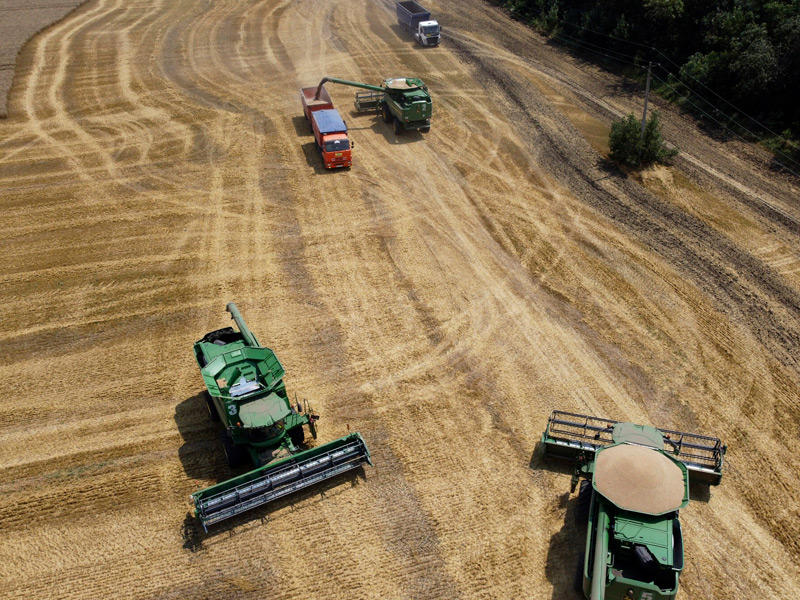 المزارعين الأوكرانيين يزرعون المحاصيل في جميع أنحاء البلاد