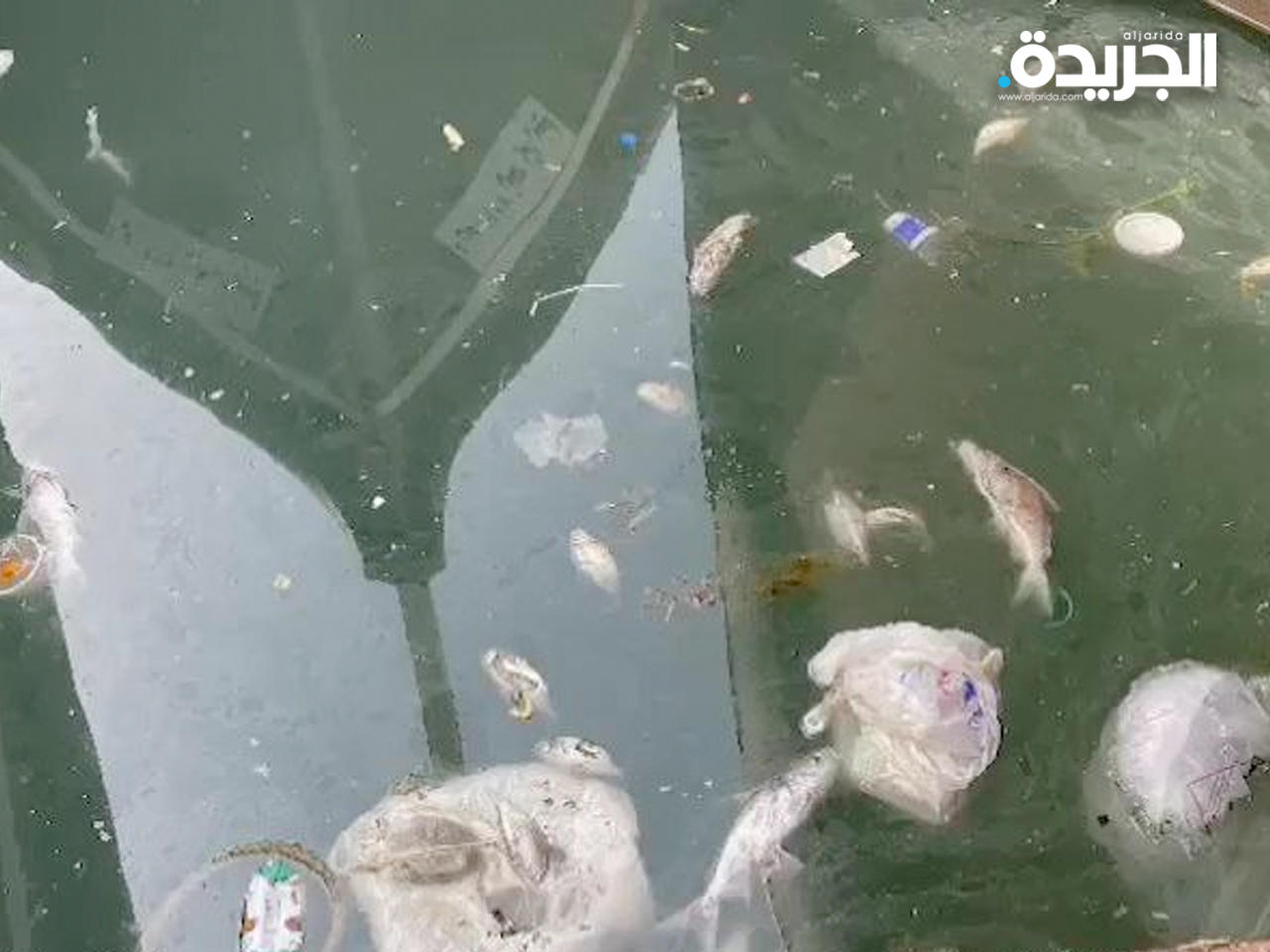 الهيئة العامة للبيئة تؤكد متابعتها الوضع البيئي في نقعة الشملان