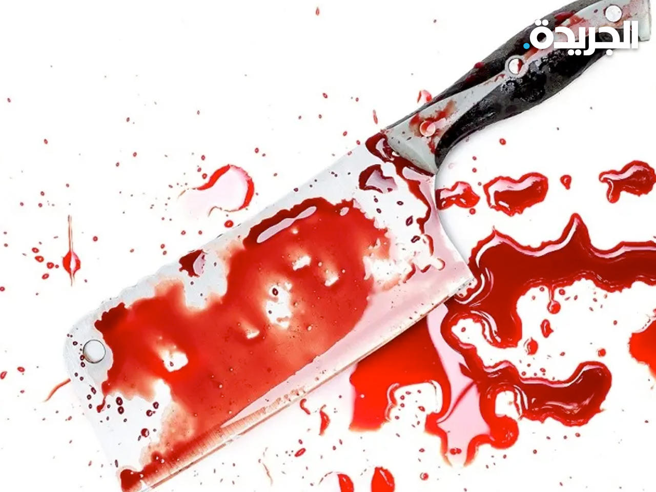 خلاف على مبلغ زهيد.. عامل مصري يقتل مسنة ويقطع جثتها بساطور