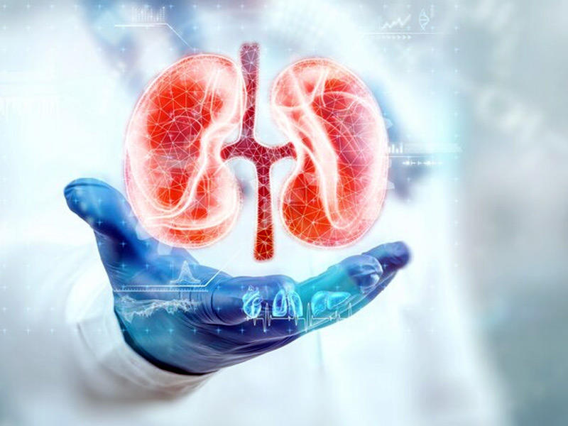 بيع كلية مقابل 20 ألف دولار