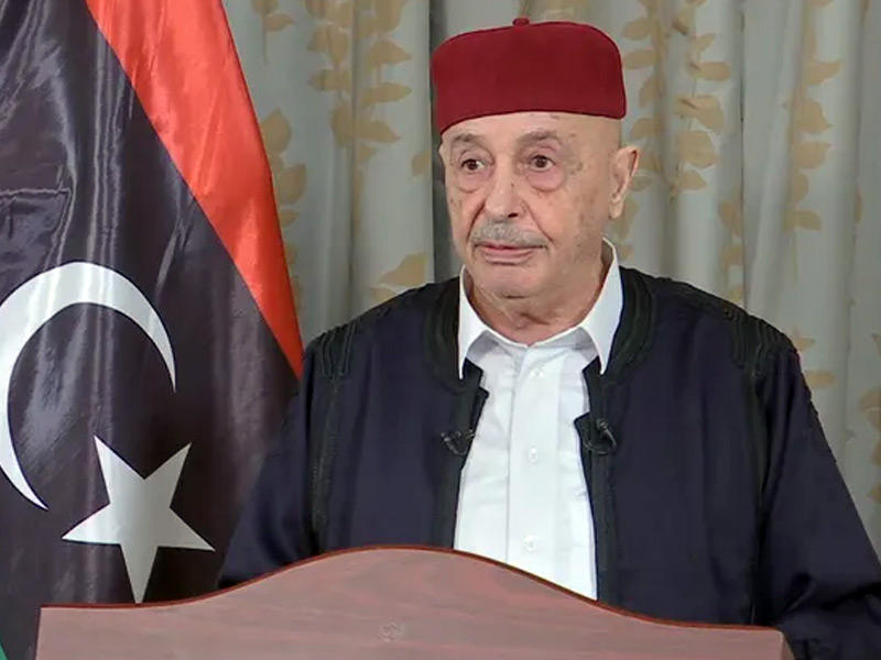 رئيس البرلمان الليبي عقيلة صالح