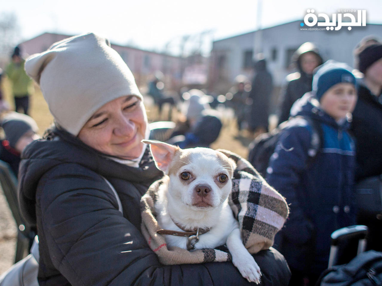 أيرلندا تحتضن مئات الحيوانات الأليفة التي جاءت مع اللاجئين الأوكرانيين