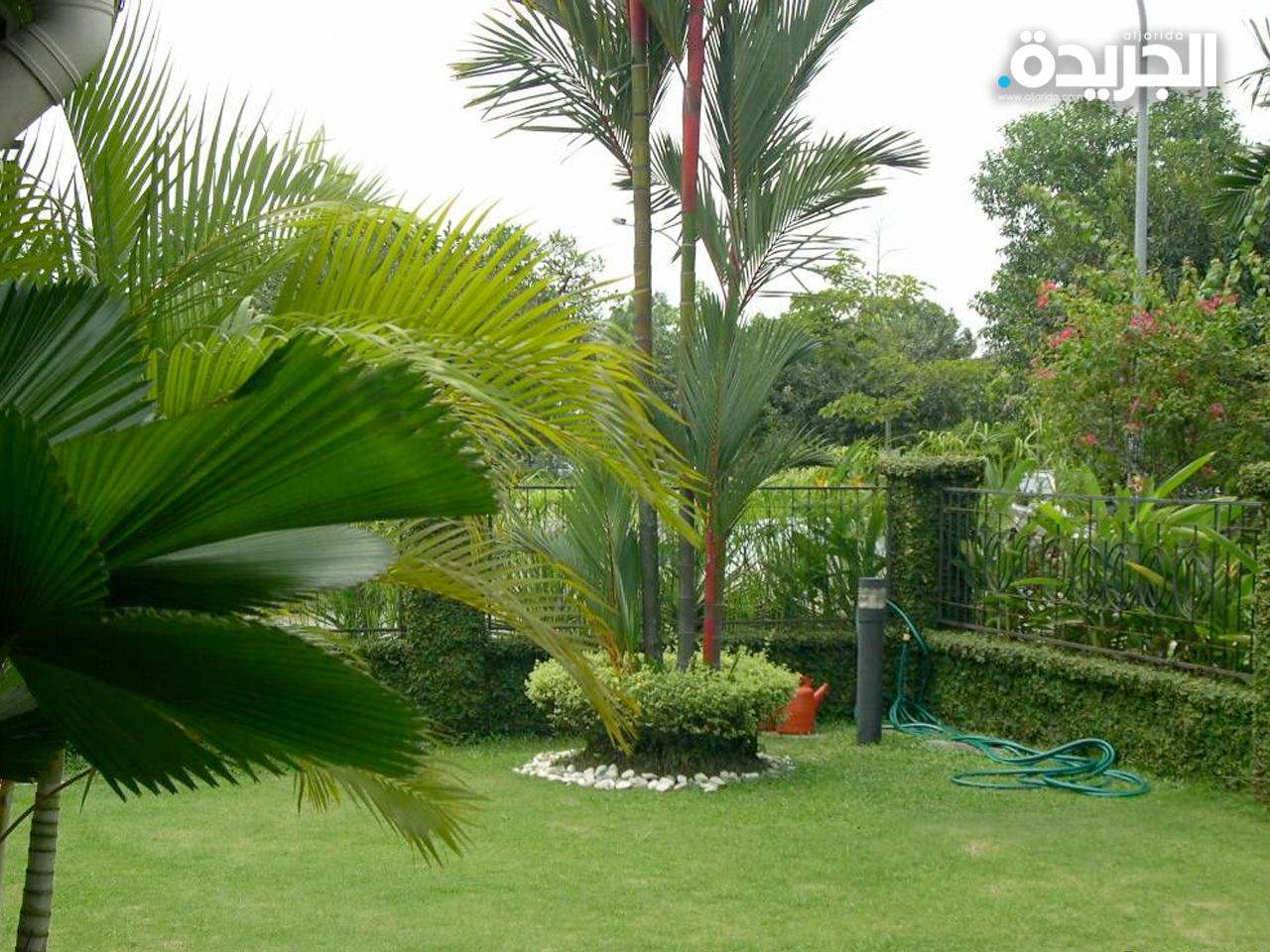 المجلس البلدي يبحث لائحة زراعة المساحات الملاصقة للبيوت