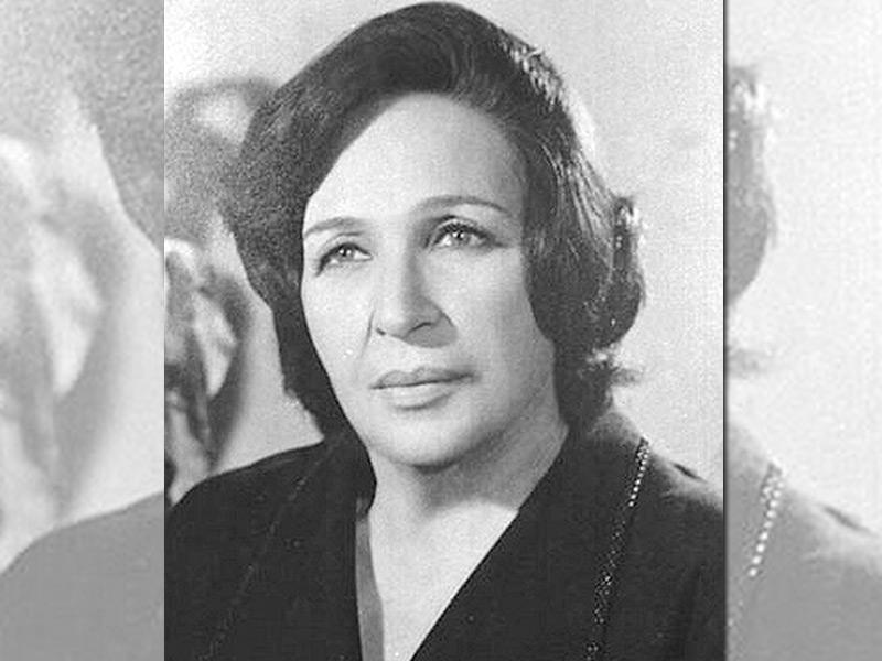  الفنانة أمينة رزق