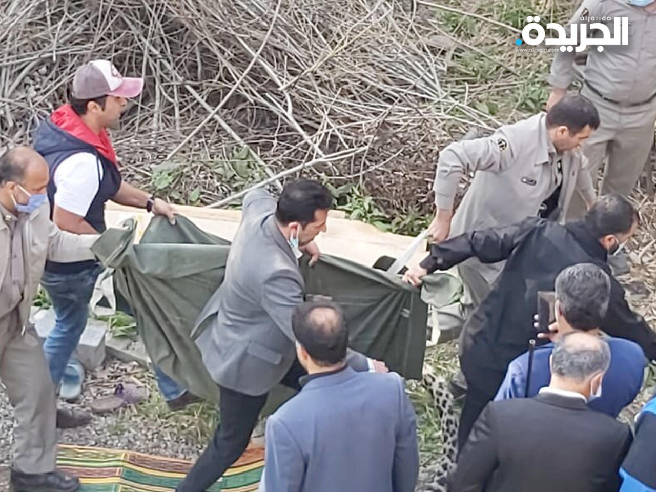 تم إلقاء القبض على الفهد ونقله إلى محمية