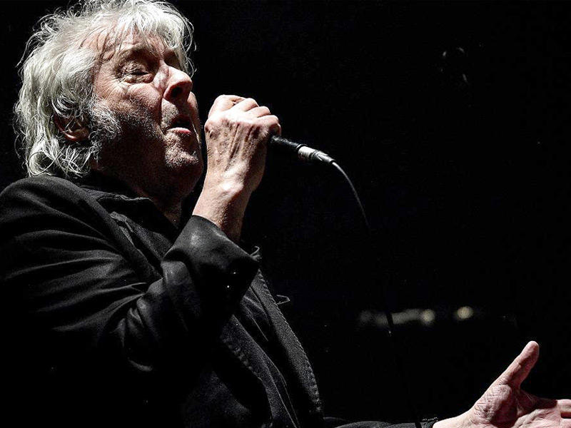  نجم موسيقى الروك البلجيكي أرنو