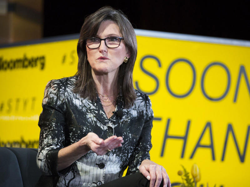 الرئيسة التنفيذية لشركة آرك إنفستمنت المليارديرة كاثي وود