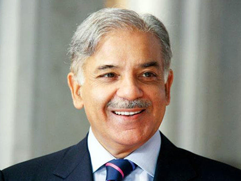 رئيس الوزراء شهباز شريف