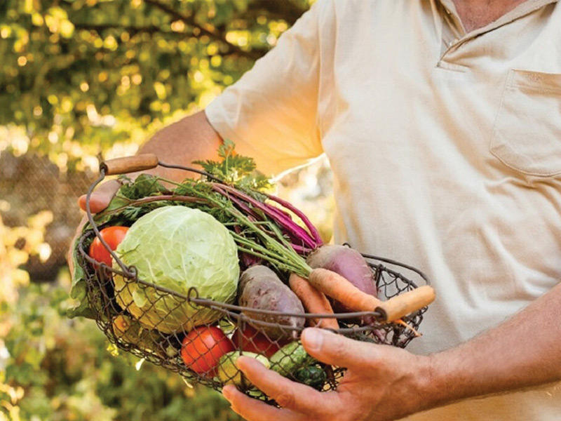 الخضراوات العضوية ملوثة بمجموعة من الميكروبات المسببة للأمراض