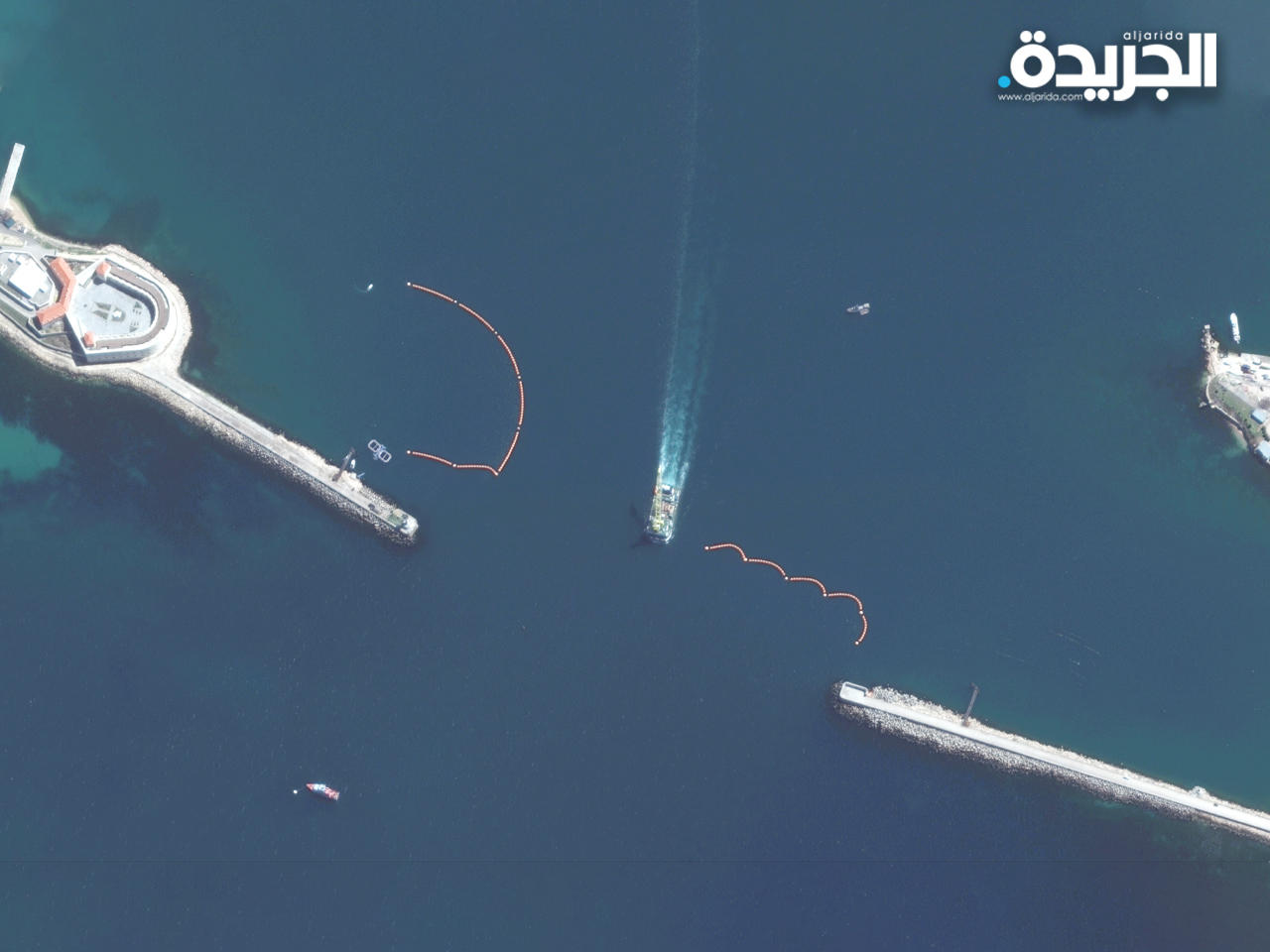 روسيا تستخدم الدلافين لحماية قاعدة بحرية في البحر الأسود