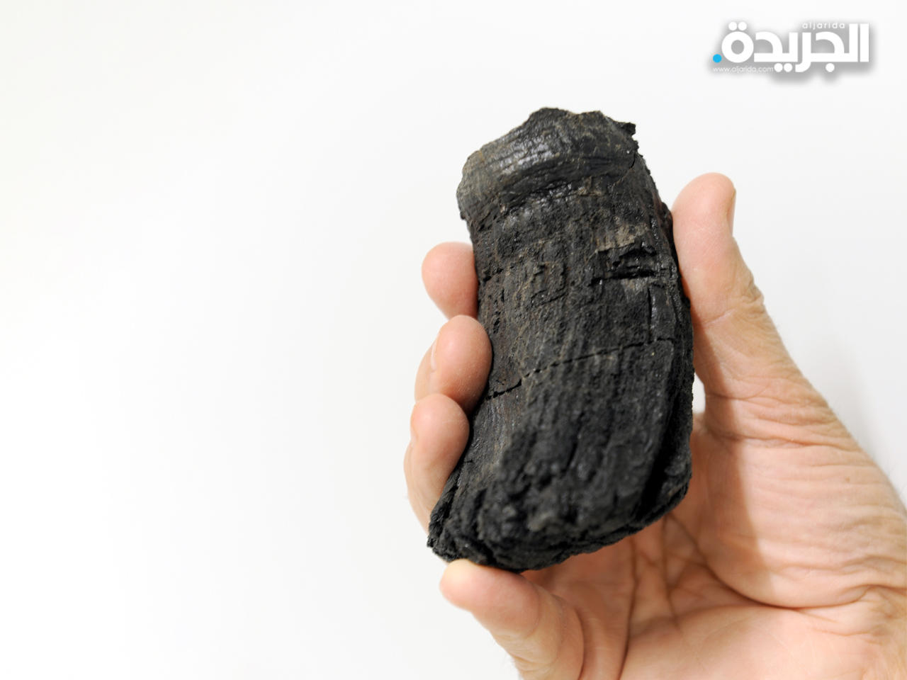 يبلغ طول سن الإكثيوصور 4 بوصات «100 مم»، ويفقد جزء من تاجه