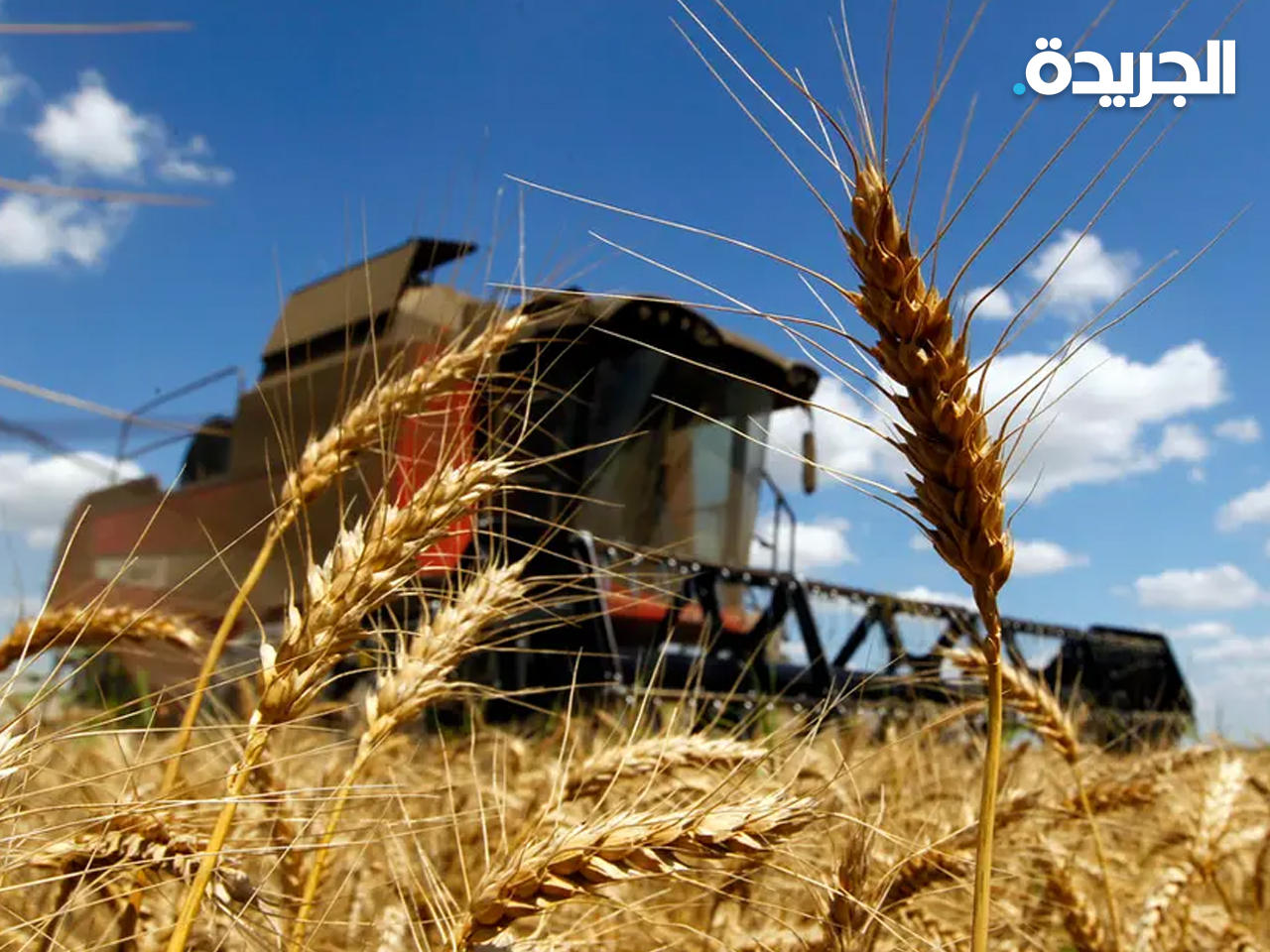 العالم ينتظر قرار الهند بتقييد تصدير القمح