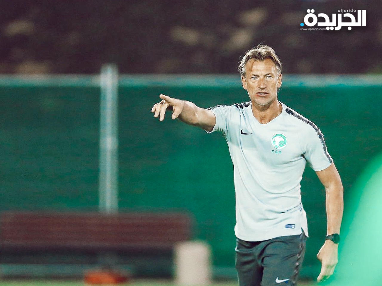 هيرفي رينارد