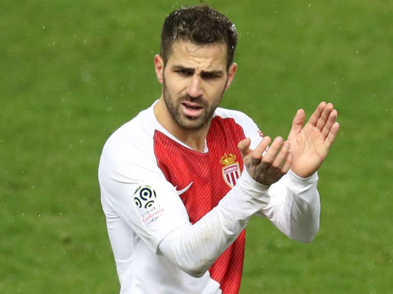  اللاعب الإسباني سيسك فابريغاس