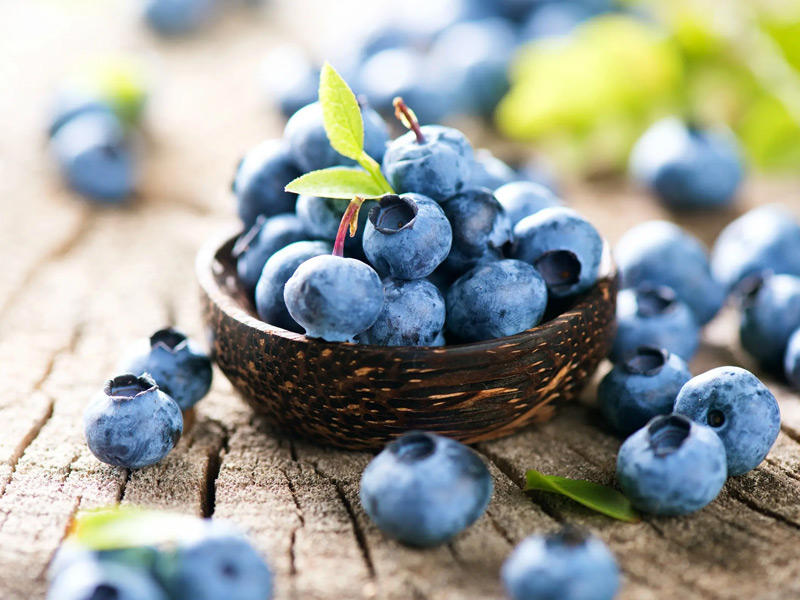 التوت الأزرق له فوائد كثيرة