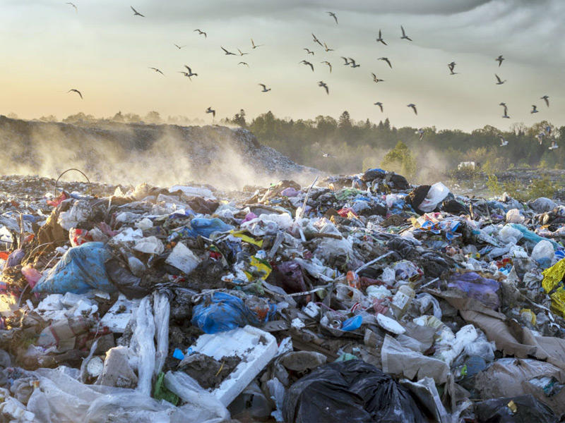 مكب نفايات