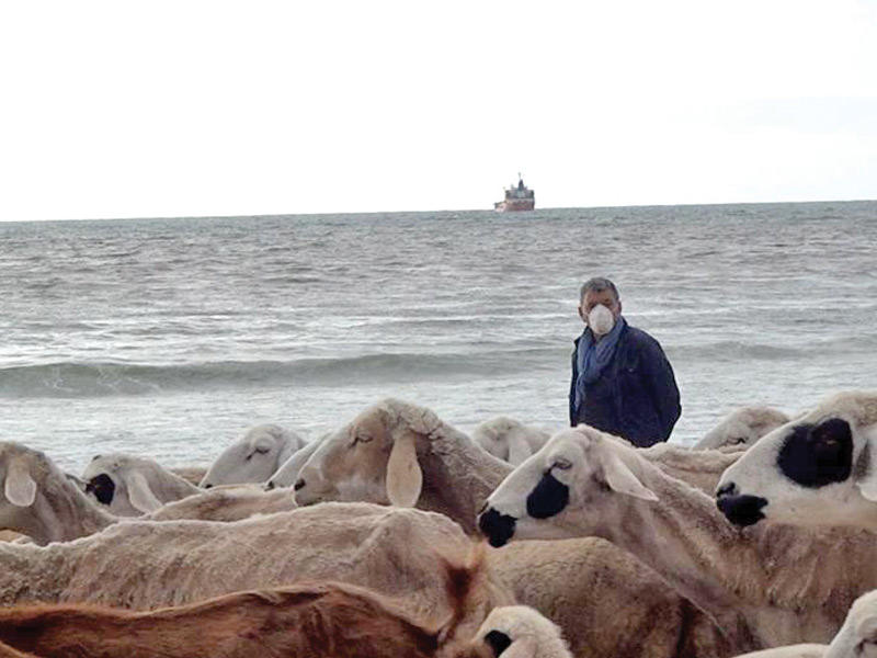 لقطة من أحد الأفلام