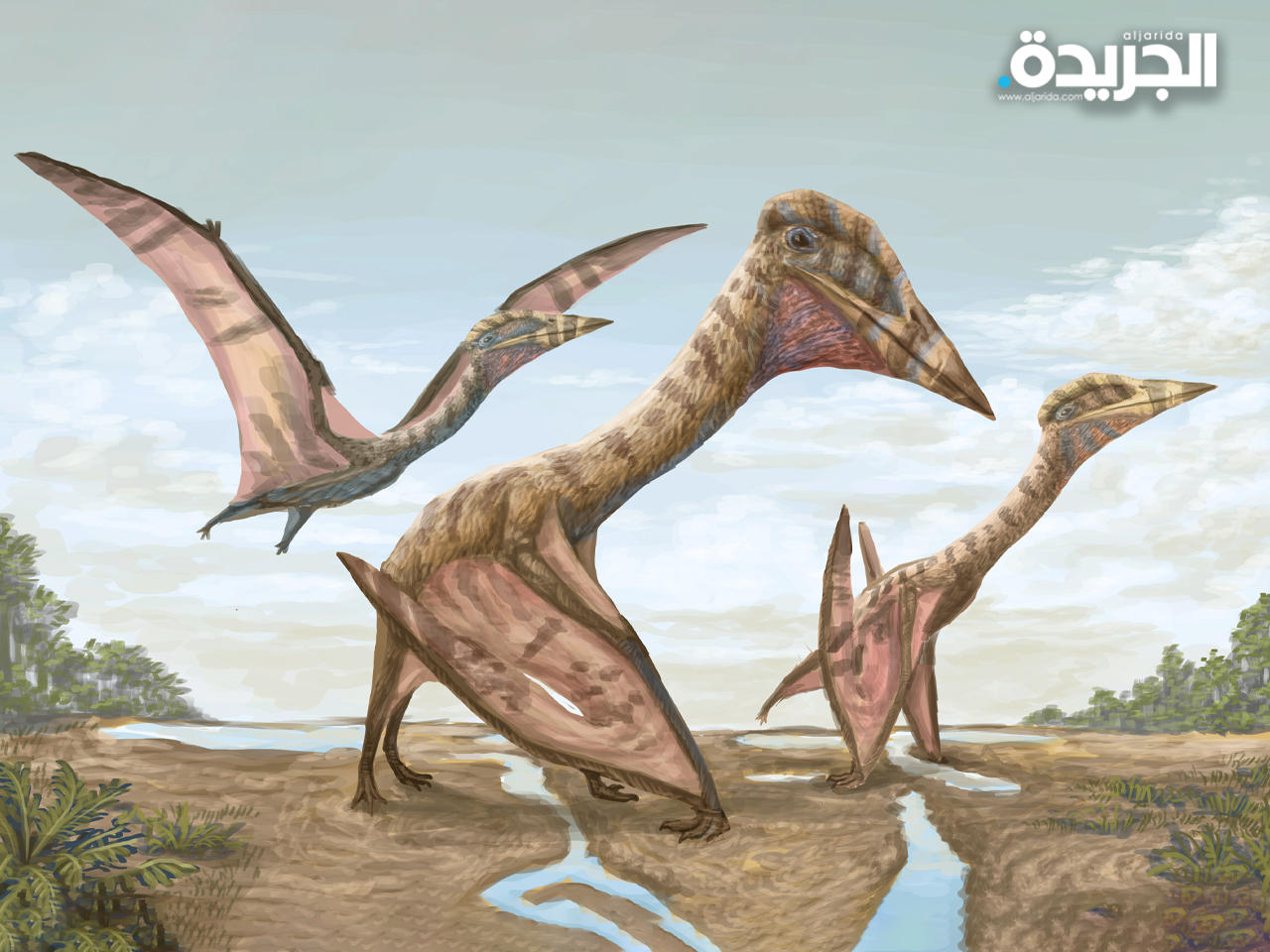 ثاناتوسدراكون أمارو