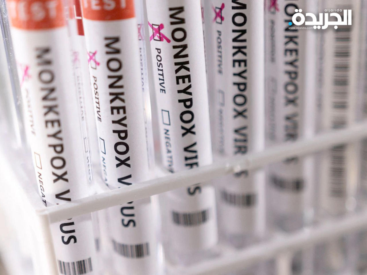 تطعيم «جدري القرود»