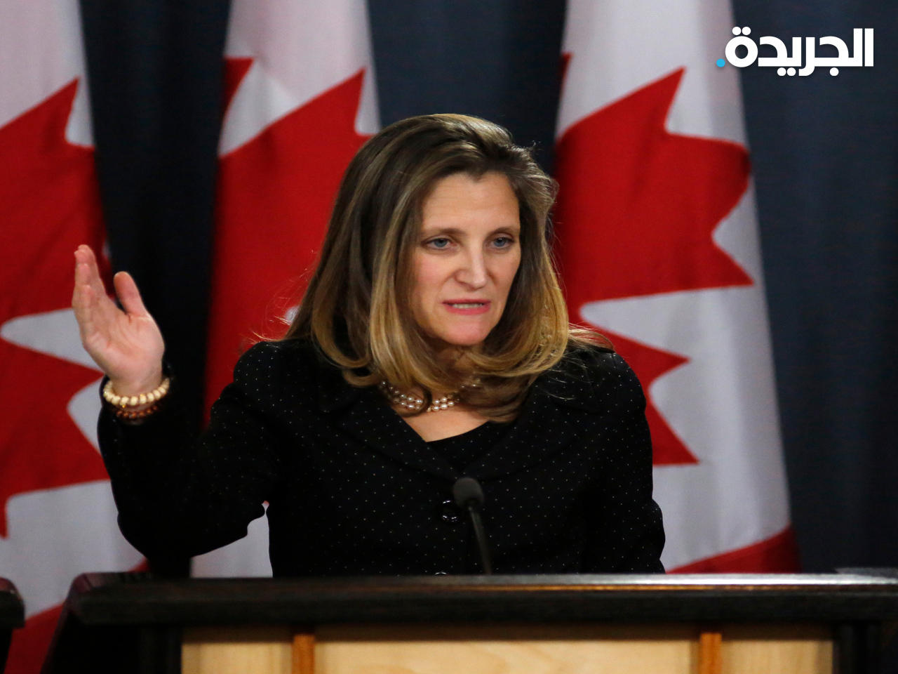 وزيرة الدفاع الكندية أنيتا أناند
