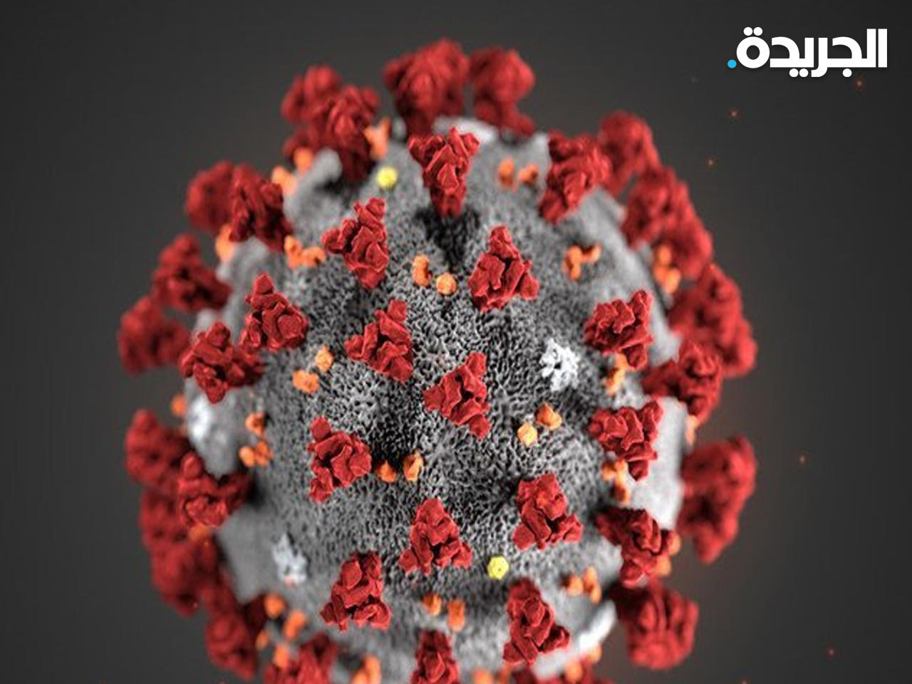 فيروس كورونا