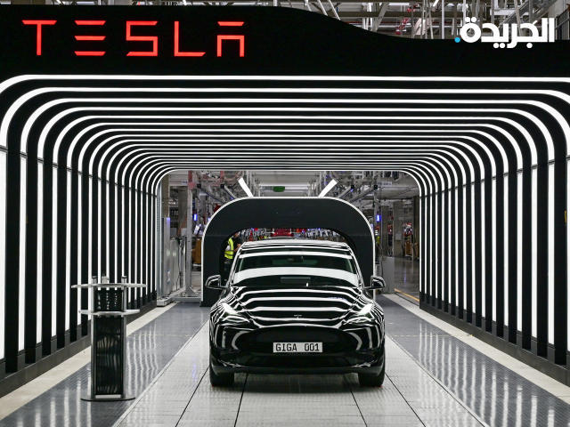 ماسك يريد إدخال «تسلا» للسوق الهندية