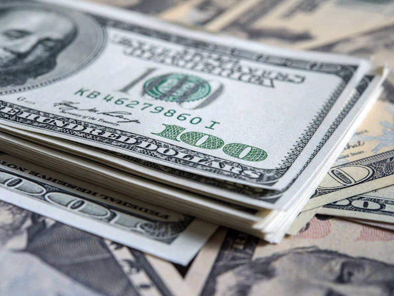 استقرار سعر صرف الدولار