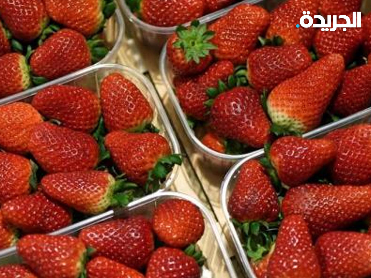 فاكهة الفراولة