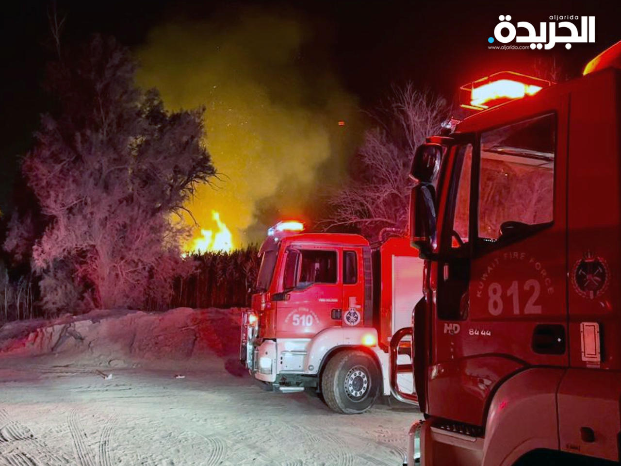 جانب من الحريق الكبير في مزرعة الصليبية