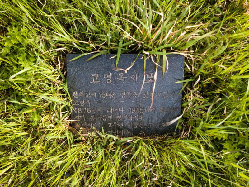 صوره توضح الأعشاب التي نمت حول المقبرة في جزيرة جيجو في كوريا الجنوبيّة 