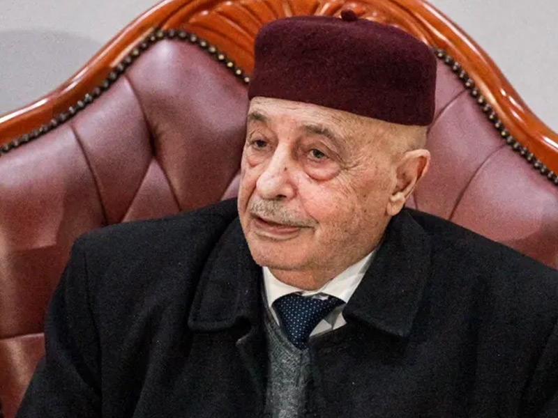  رئيس مجلس النواب عقيلة صالح 