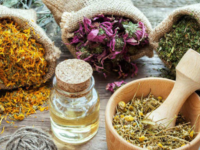 التداوي بالأعشاب 