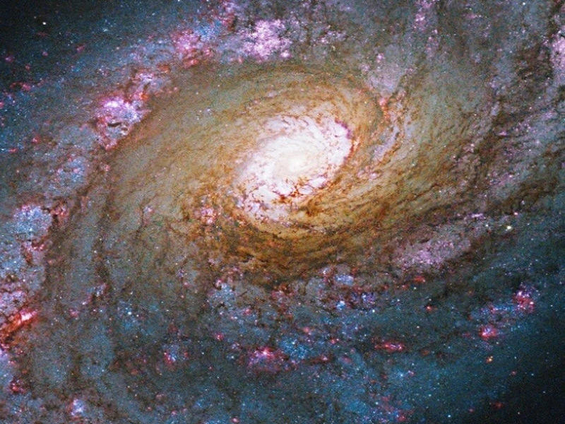 صورة تبين حجم كوكب «يانسن» التي تم اكتشافه من قبل وكالة ناسا