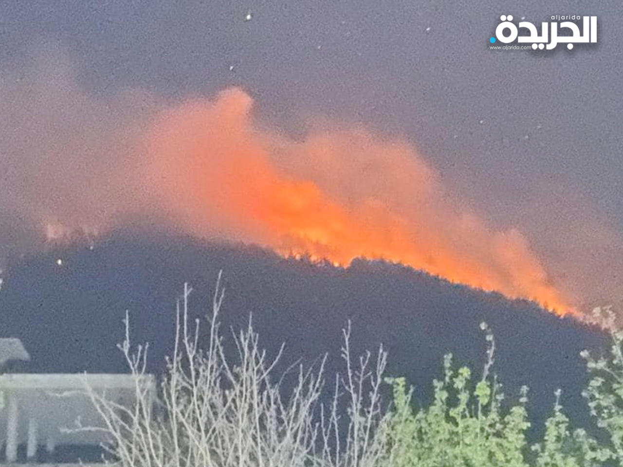 حريق غابات في لبنان