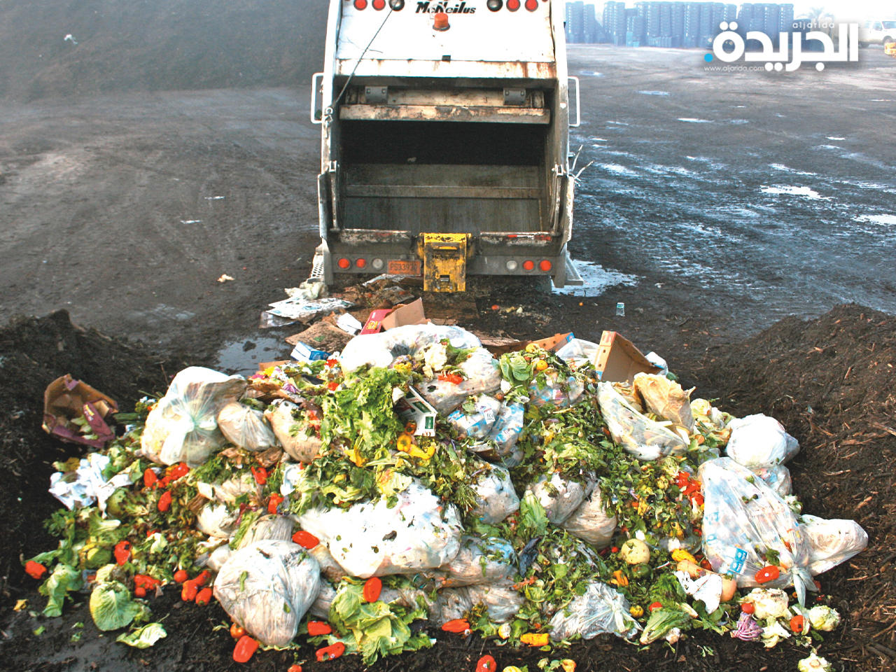 1,3 مليون طن من الطعام والشراب يتم إلقاؤها سنوياً في إسبانيا