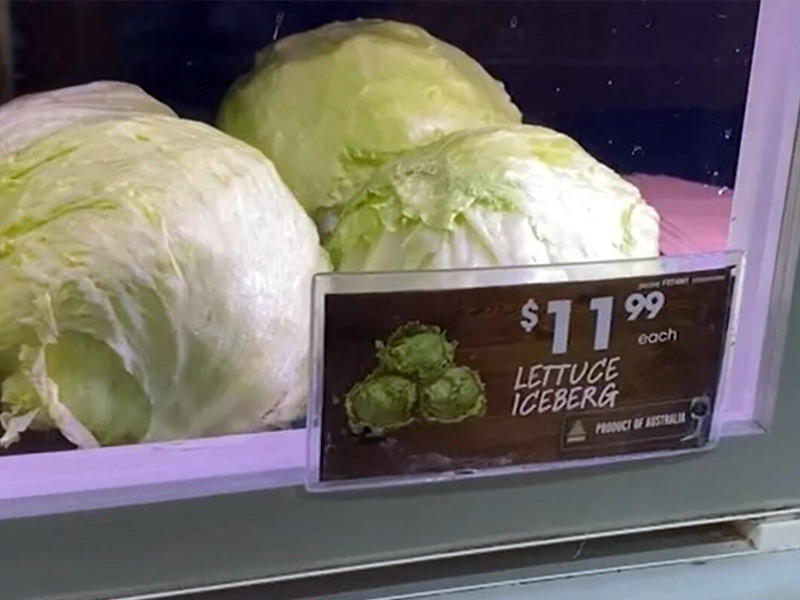 صورة توضح ارتفاع اسعار الخس 