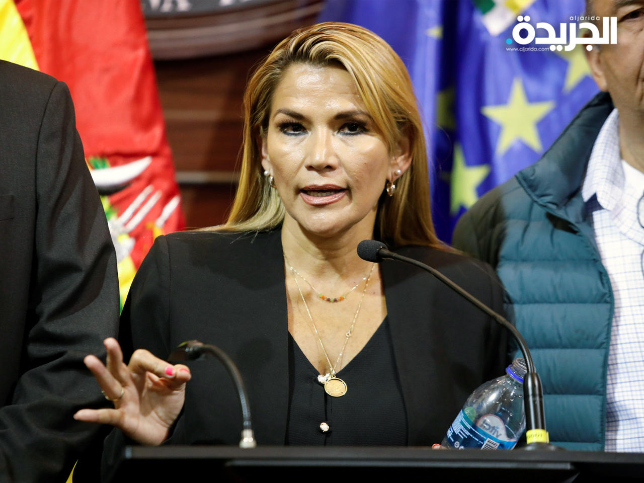 رئيسة بوليفيا السابقة جانين أنيز