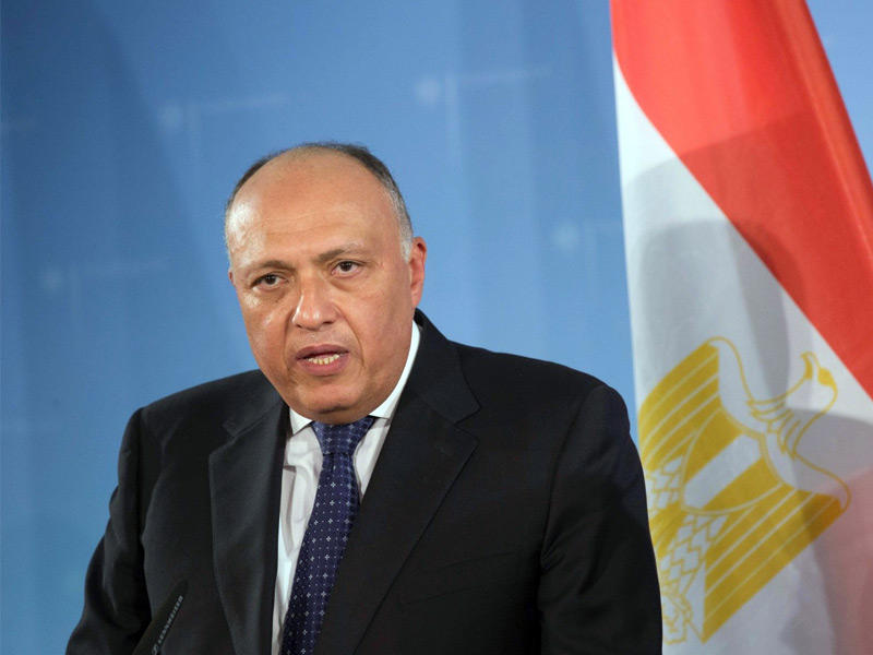 وزير الخارجية المصري سامح شكري