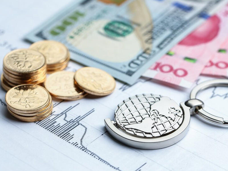  ديون شركات الاستثمار