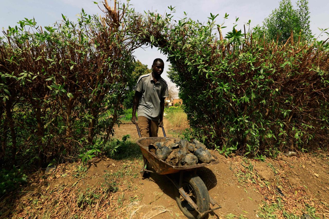 المجاعة تهدد السودان