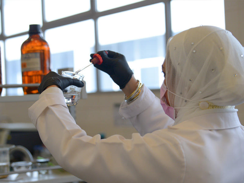 جانب من أعمال الفحص في المركز الحكومي