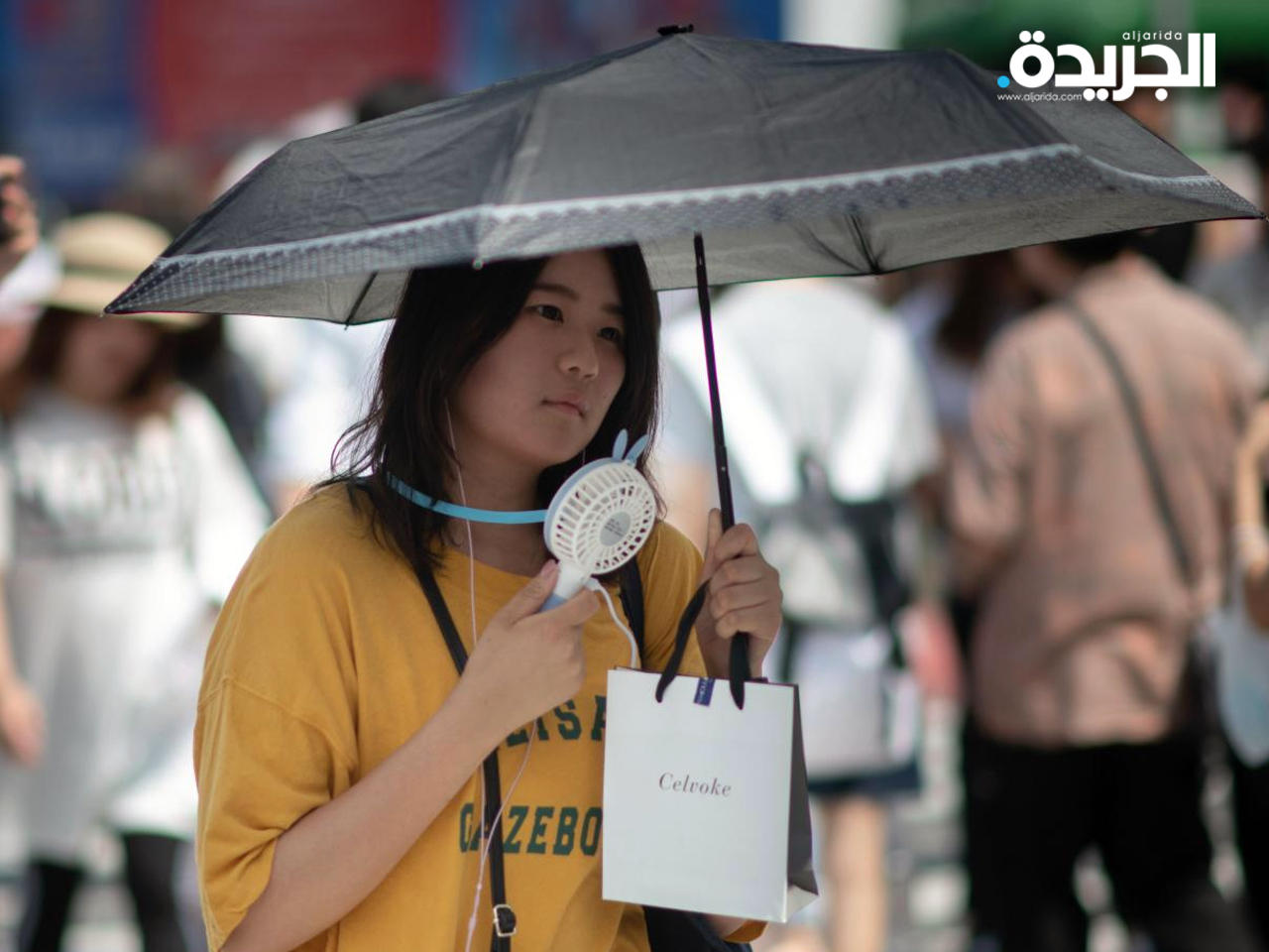 الحكومة اليابانية تحث الأسر على ترشيد استهلاك الطاقة