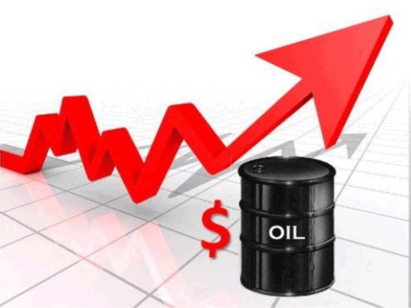 ارتفاع اسعار النفط 