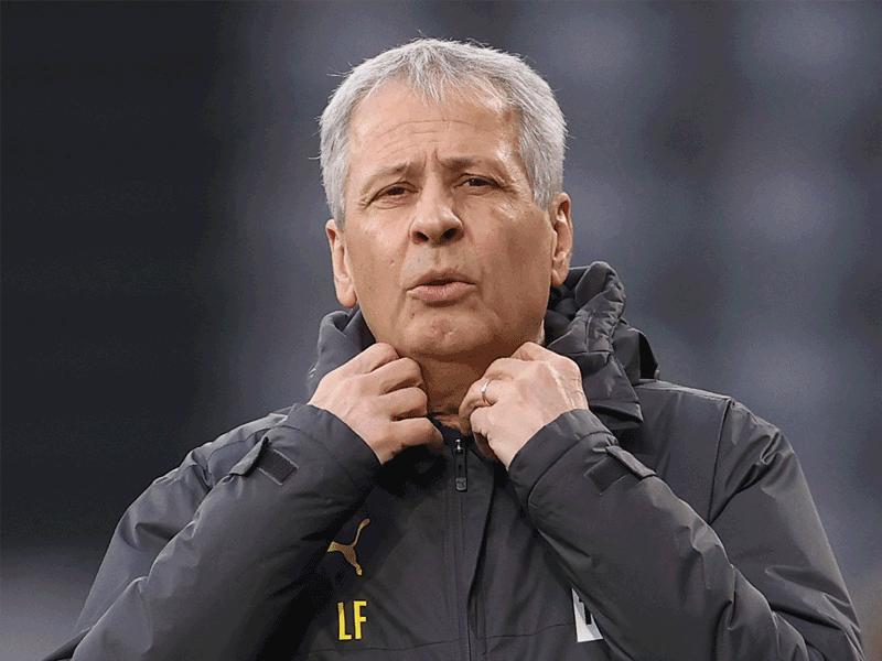  المدرب السويسري لوسيان فافر