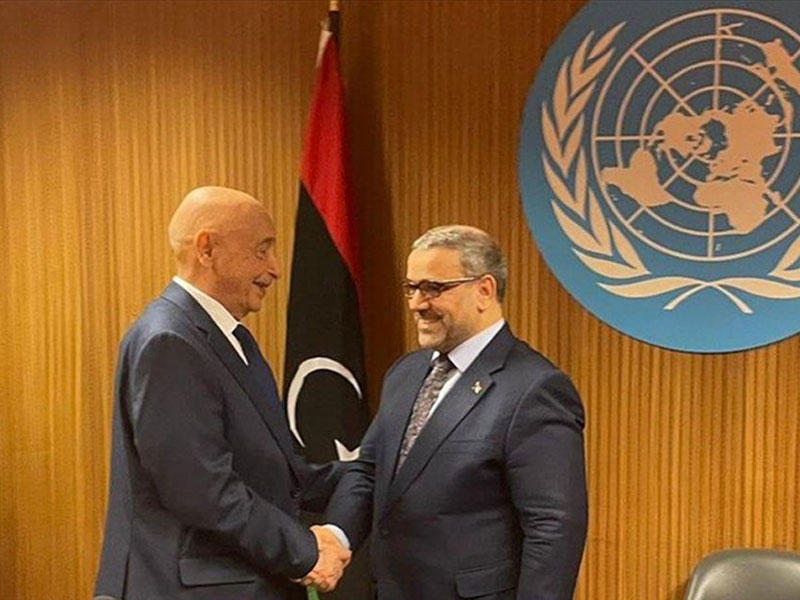 رئيسي مجلسي النواب عقيلة صالح والأعلى للدولة خالد المشري