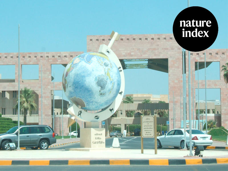 جامعة الكويت