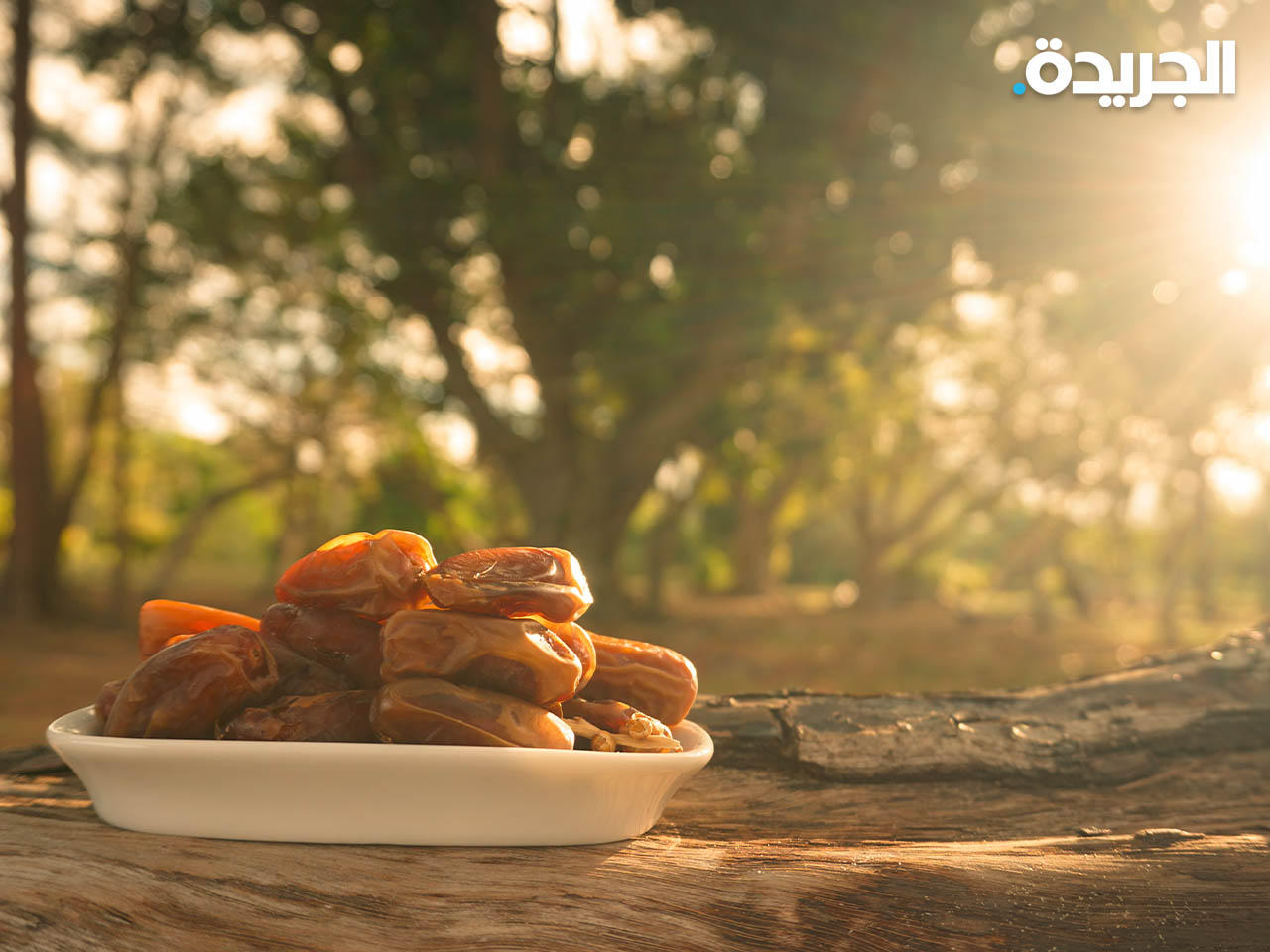 موسم الرطب «البلح» يبدأ بعد دخول فصل الصيف فلكياً