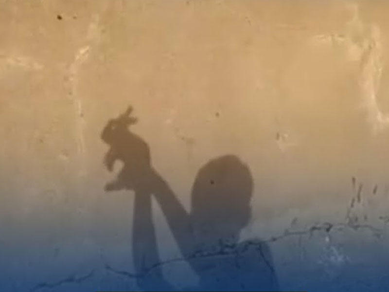 طفل يمني يرسم الحيوانات مستخدماً كلتا يديه 