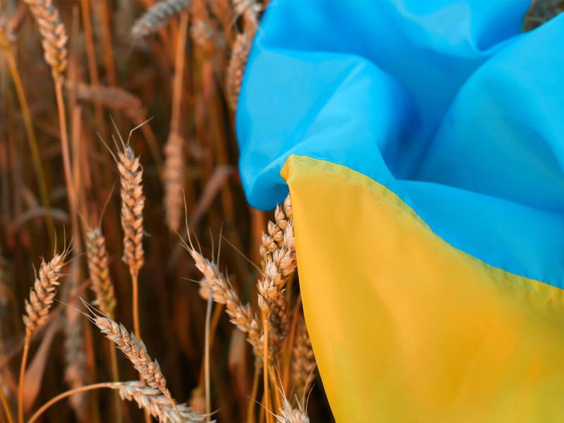 قصف القمح في اوكرانيا 